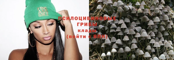 шишки Алексеевка